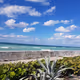 Nature in Paradise