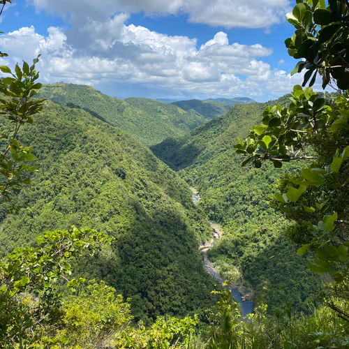 Nature in Puerto Rico