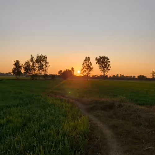 Nature is Home