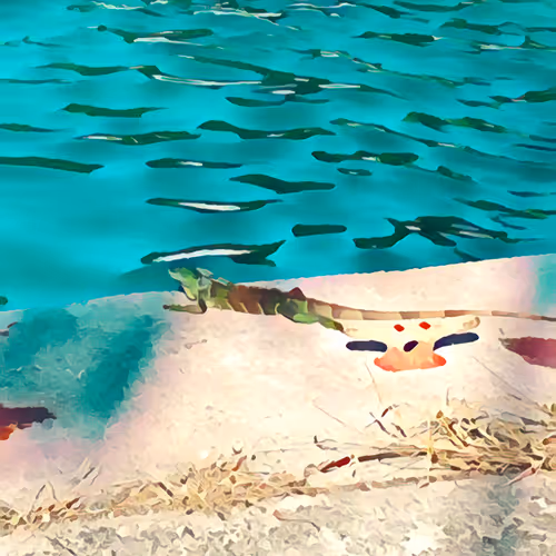 Nature is Therapy - old