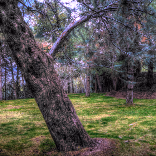 Nature - fwQRtEx0WE
