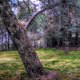 Nature - fwQRtEx0WE