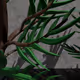 Nature of a Thing