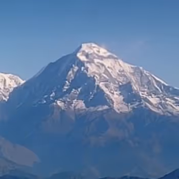 Nature on blockchain