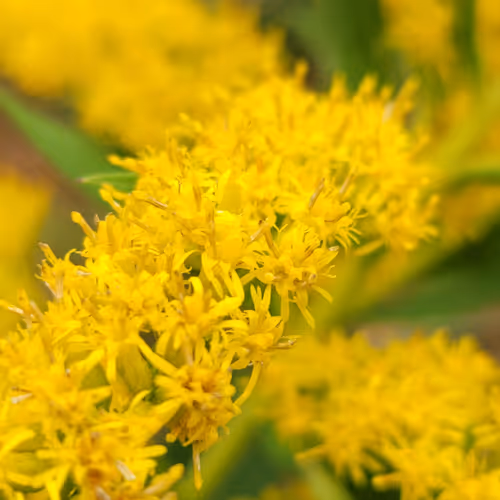 Nature Photos by LisaMarie