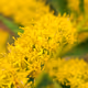 Nature Photos by LisaMarie