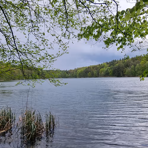 nature photos in paradise