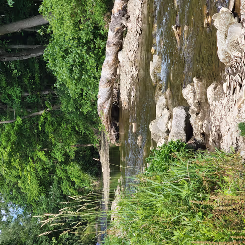 Nature Pics Erie, PA