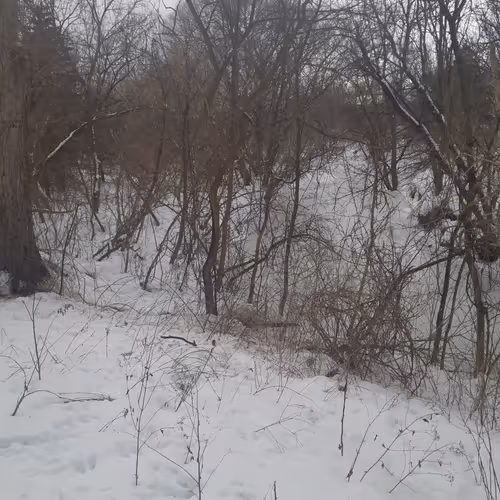 Nature Pictures in the winter