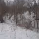 Nature Pictures in the winter