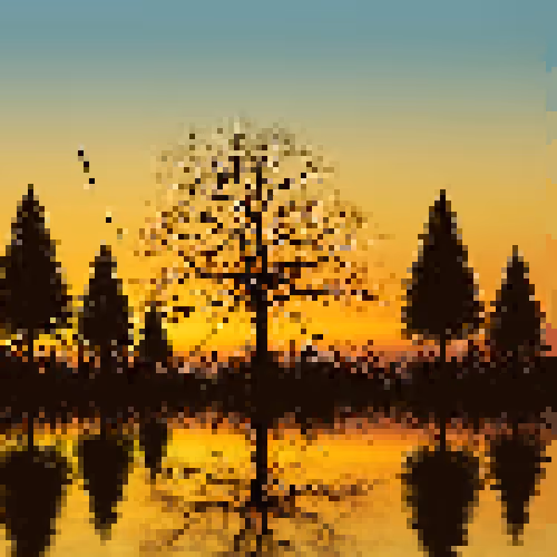 Nature Pix