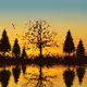 Nature Pix