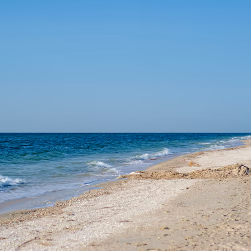 Nature Sea of Azov
