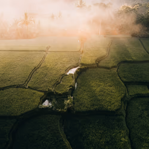 Nature through lense