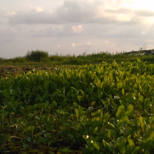 Beautiful Nature of Bangladesh