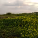 Beautiful Nature of Bangladesh