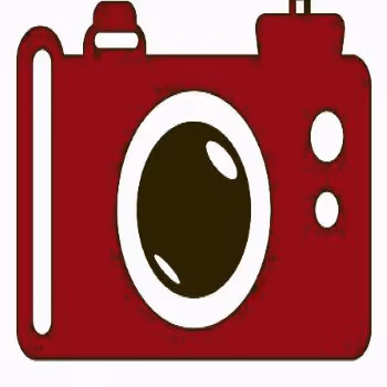 Nature photos by Carol Paim