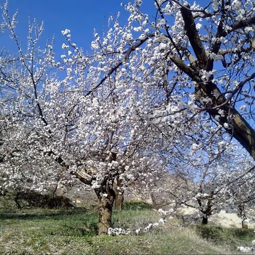 Nature by Mr.Fakir