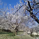 Nature by Mr.Fakir