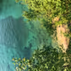 NatureEscape