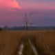 Nature in Canvas - old