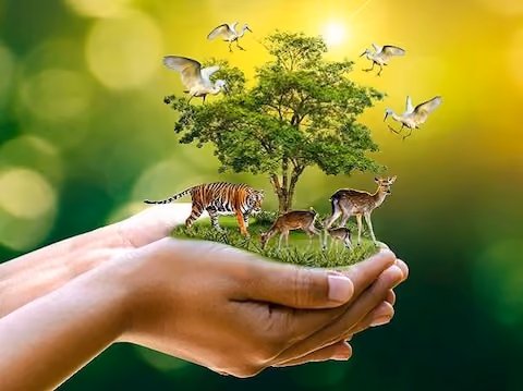 NATUREWORLD2022