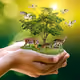 NATUREWORLD2022