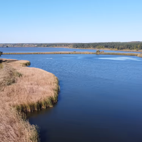 Naturels_Sumy