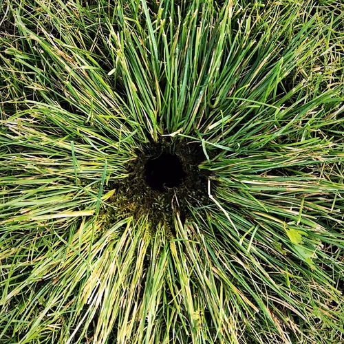 Nature Photos Remixed