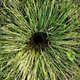 Nature Photos Remixed