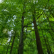 Nature's beaty