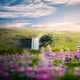 Nature that Surrounds Us