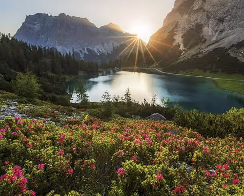 nature love