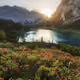 nature love