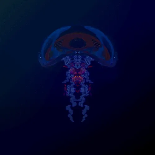 Nautical Fishy Tokens