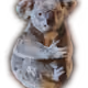 The Crypto'd Koala's