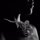 Emotions FineArt