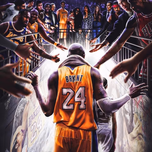 NBA stars Collection