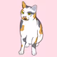 Digusted Cat