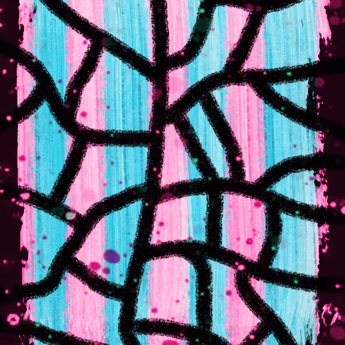 Negative Flows