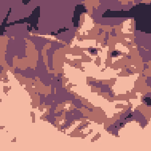 NekoCatCollection