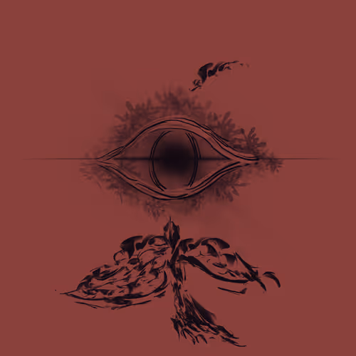 single nemo Collection - old