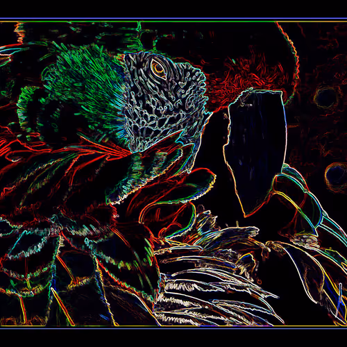 Neon Art Collections | Birds and Animals