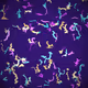 Neon Entropy