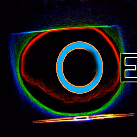 Neon Performances Collection