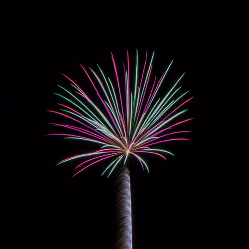 Neon Sky Flowers - old