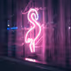 Neon DeLuchs