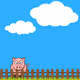 NEONPIG - old