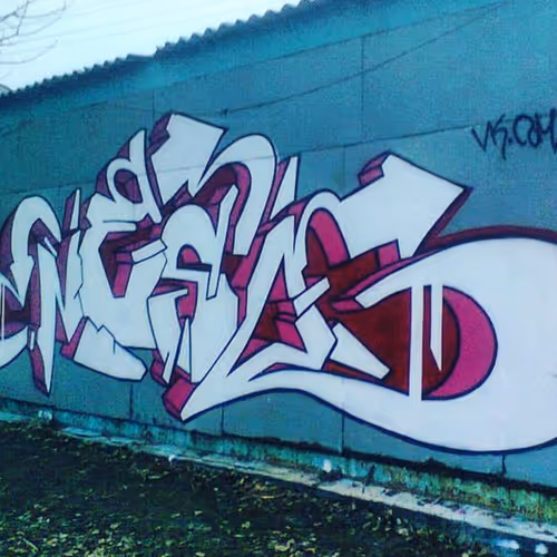 Nesoarts