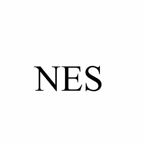 NES-P